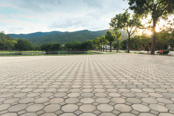 Best Driveway Pavers for Homes  in Wilson Conococheague, MD